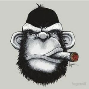 Meet your Posher, Dennis